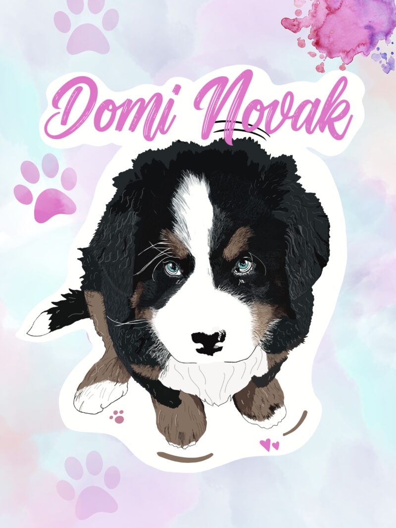 Plakát A3 Domi novak bernáček